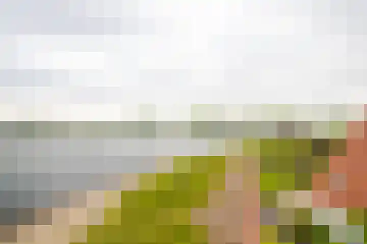 IJsvogel 65 Lathum thumbnail 35