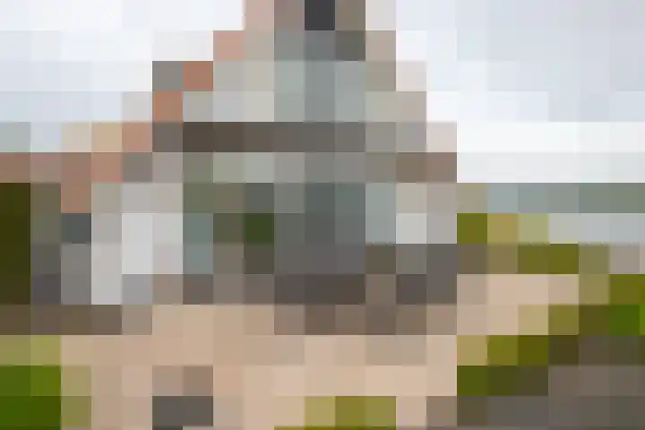 IJsvogel 65 Lathum thumbnail 36