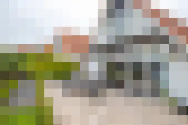 IJsvogel 65 Lathum thumbnail 37