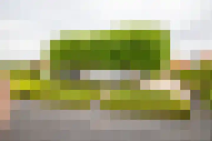 IJsvogel 65 Lathum thumbnail 38