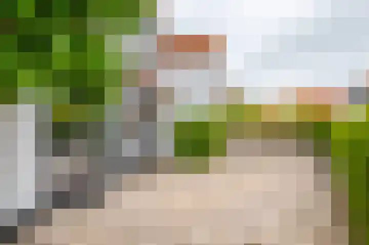 IJsvogel 65 Lathum thumbnail 39
