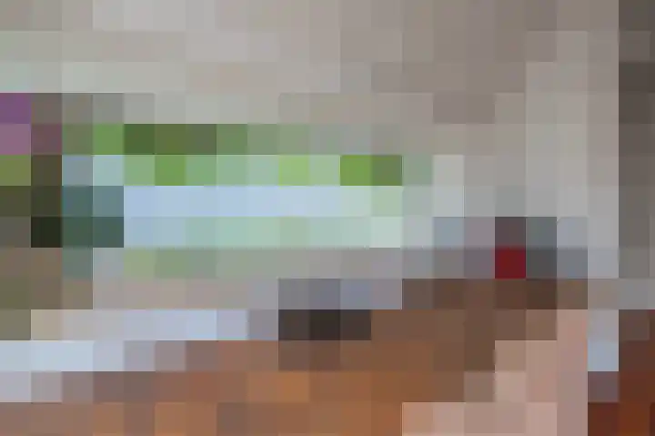 IJsvogel 65 Lathum thumbnail 4