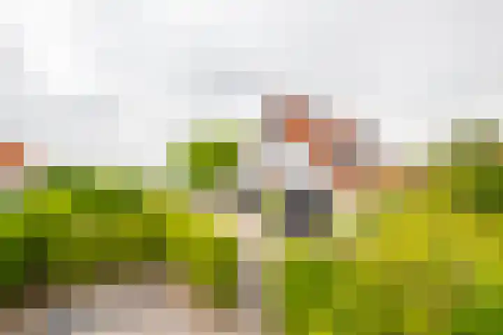 IJsvogel 65 Lathum thumbnail 41