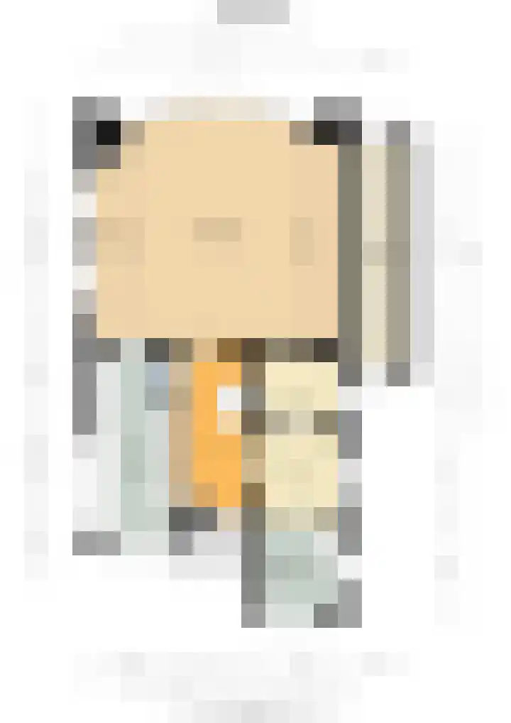 IJsvogel 65 Lathum thumbnail 42
