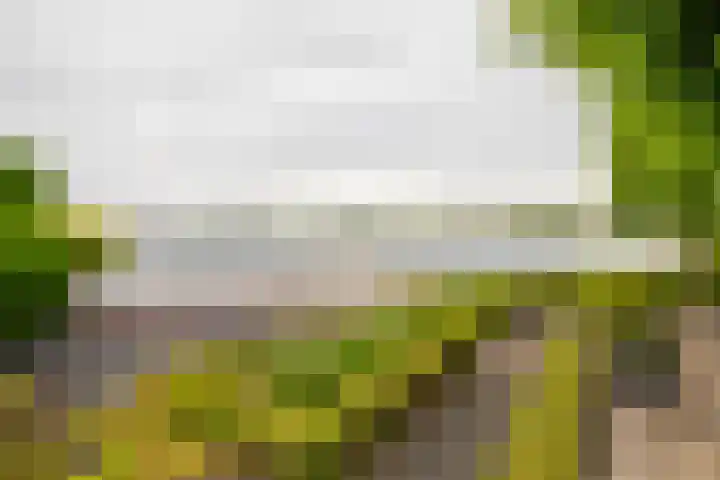 IJsvogel 65 Lathum thumbnail 5
