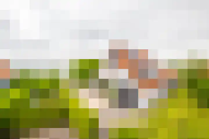 IJsvogel 65 Lathum thumbnail 6