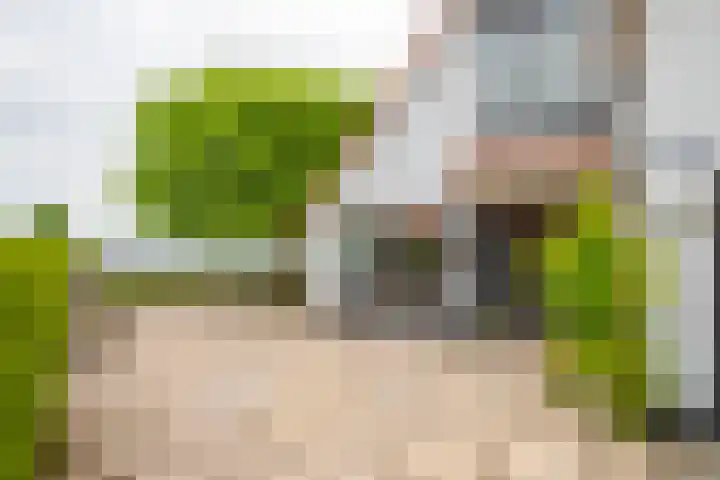 IJsvogel 65 Lathum thumbnail 7