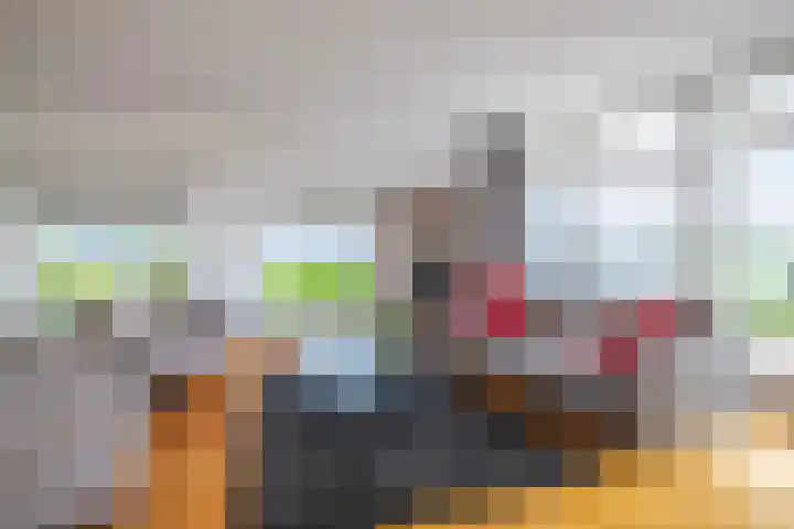 IJsvogel 65 Lathum thumbnail 9