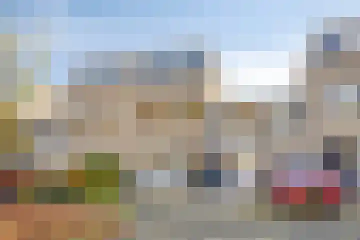 IJsvogel 65 Maarssen