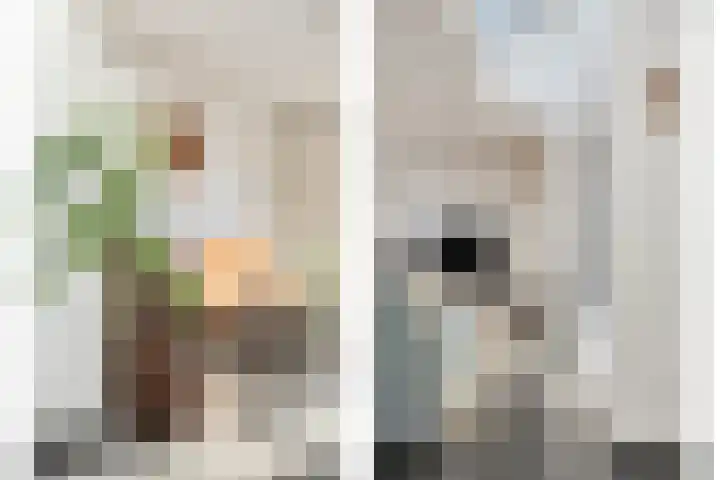 IJsvogel 65 Maarssen thumbnail 10