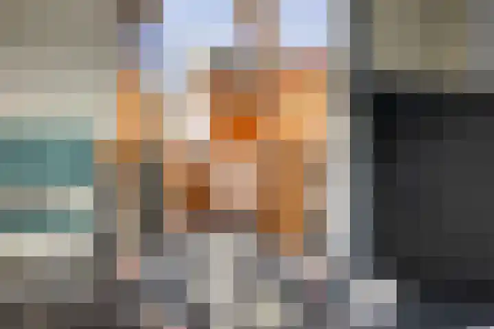 IJsvogel 65 Maarssen thumbnail 11
