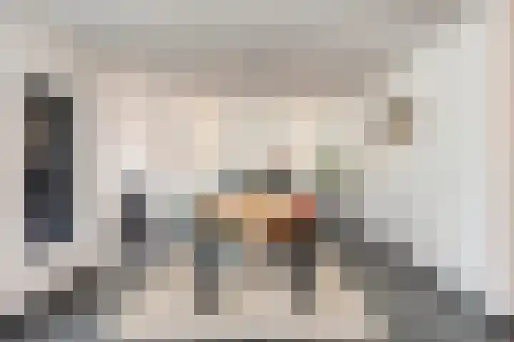 IJsvogel 65 Maarssen thumbnail 12