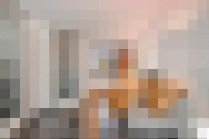 IJsvogel 65 Maarssen thumbnail 16