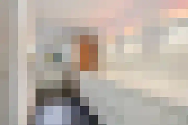 IJsvogel 65 Maarssen thumbnail 17