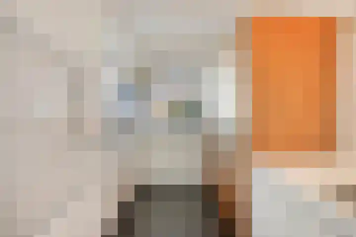 IJsvogel 65 Maarssen thumbnail 18