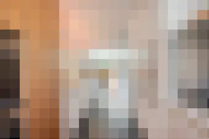 IJsvogel 65 Maarssen thumbnail 19