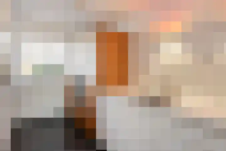 IJsvogel 65 Maarssen thumbnail 22