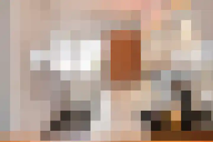 IJsvogel 65 Maarssen thumbnail 23