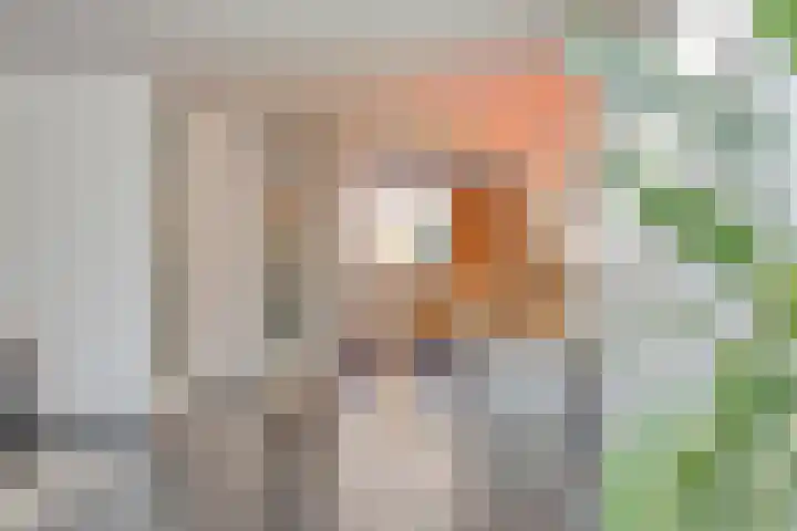IJsvogel 65 Maarssen thumbnail 24
