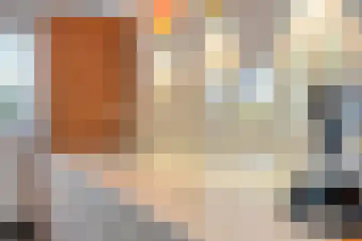 IJsvogel 65 Maarssen thumbnail 25
