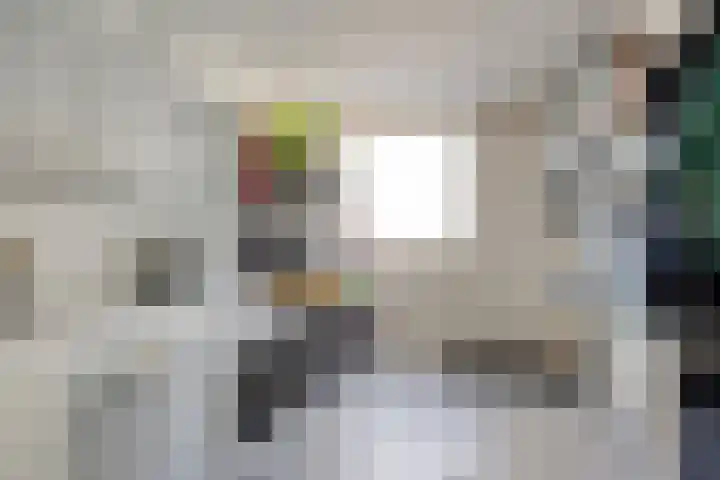 IJsvogel 65 Maarssen thumbnail 27