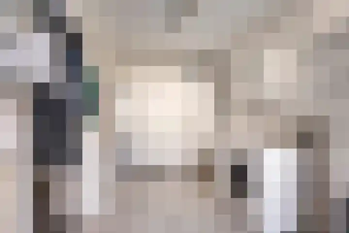 IJsvogel 65 Maarssen thumbnail 28
