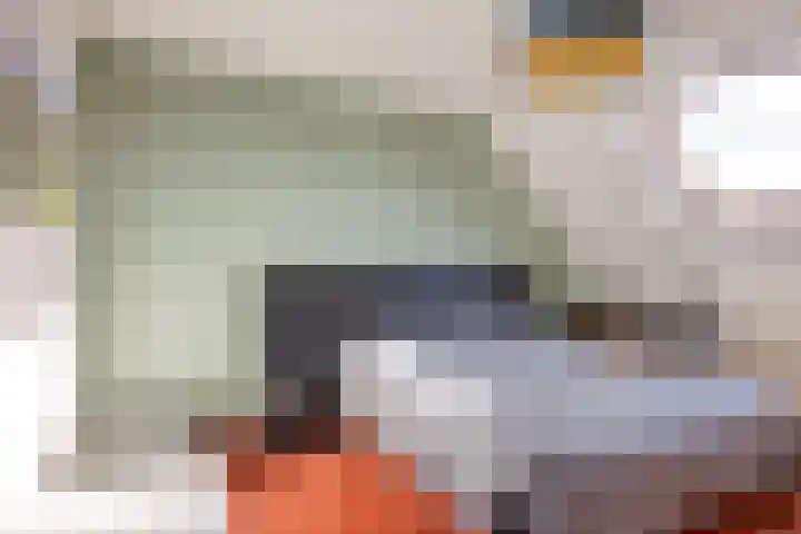 IJsvogel 65 Maarssen thumbnail 29