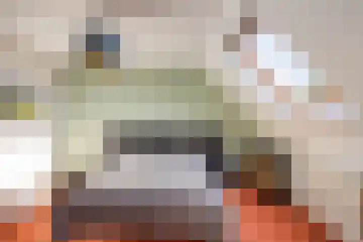 IJsvogel 65 Maarssen thumbnail 32