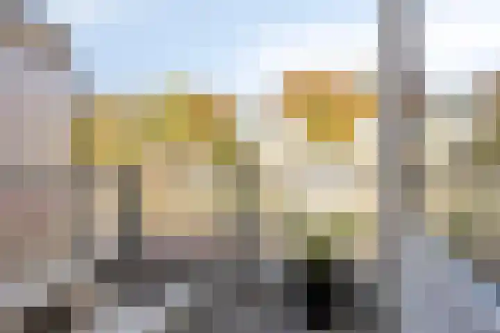 IJsvogel 65 Maarssen thumbnail 37