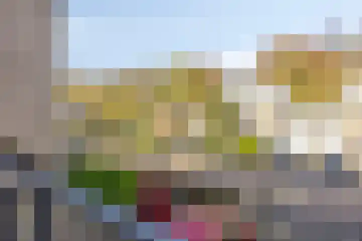IJsvogel 65 Maarssen thumbnail 38