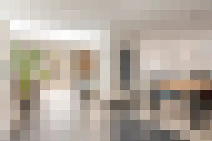 IJsvogel 65 Maarssen thumbnail 4