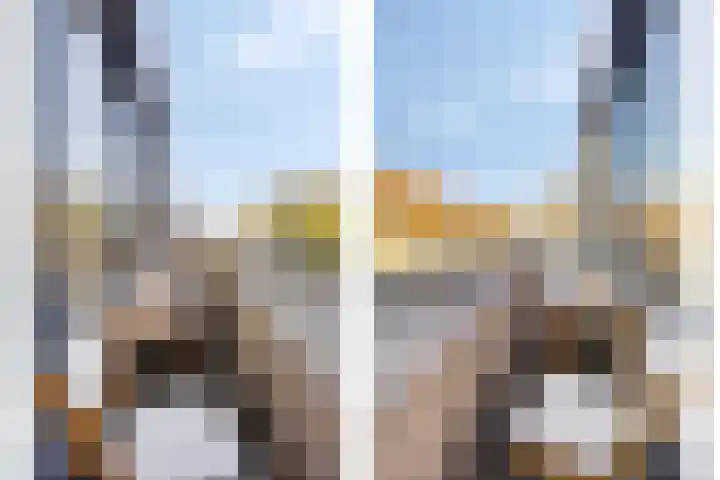 IJsvogel 65 Maarssen thumbnail 45