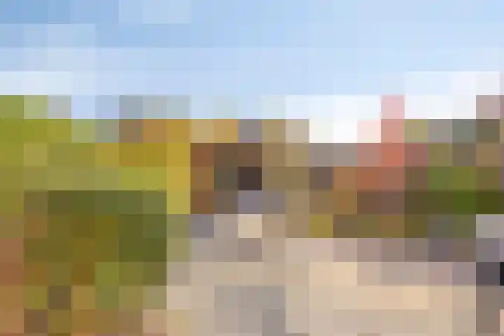 IJsvogel 65 Maarssen thumbnail 46