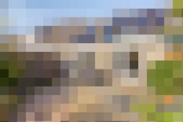 IJsvogel 65 Maarssen thumbnail 47