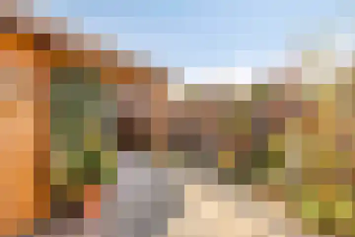 IJsvogel 65 Maarssen thumbnail 48