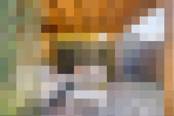 IJsvogel 65 Maarssen thumbnail 49