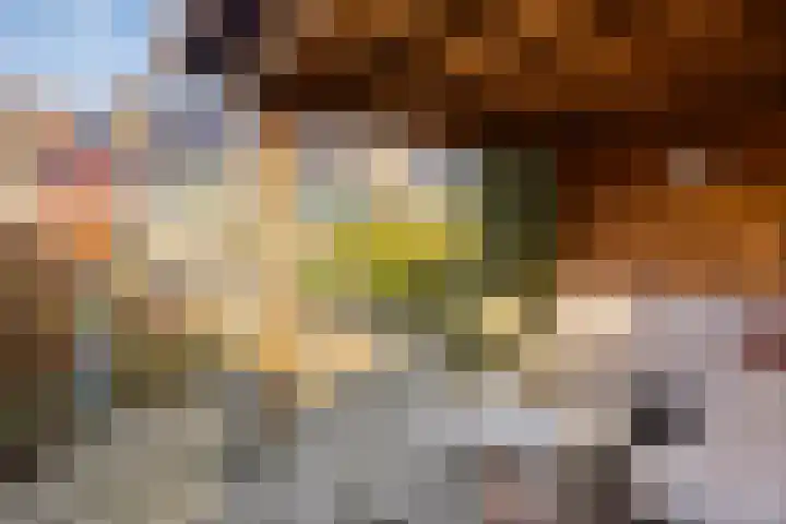 IJsvogel 65 Maarssen thumbnail 50