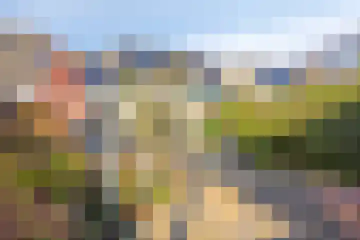 IJsvogel 65 Maarssen thumbnail 51