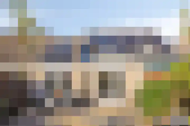 IJsvogel 65 Maarssen thumbnail 52