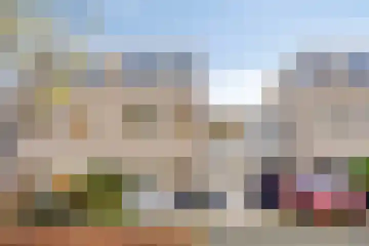 IJsvogel 65 Maarssen thumbnail 53
