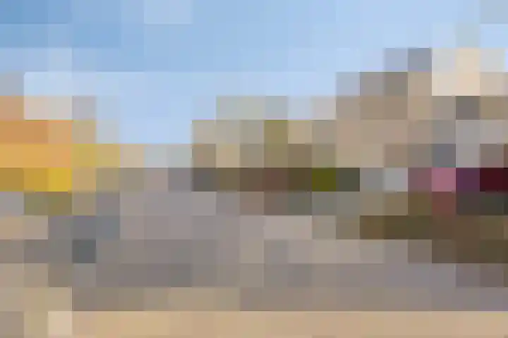 IJsvogel 65 Maarssen thumbnail 54