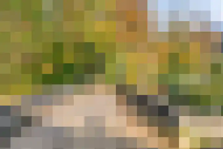IJsvogel 65 Maarssen thumbnail 55