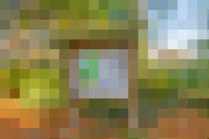 IJsvogel 65 Maarssen thumbnail 56