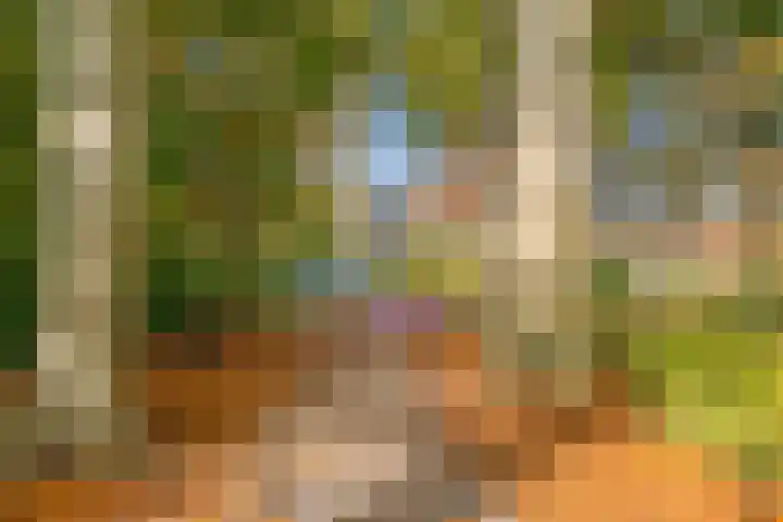 IJsvogel 65 Maarssen thumbnail 57
