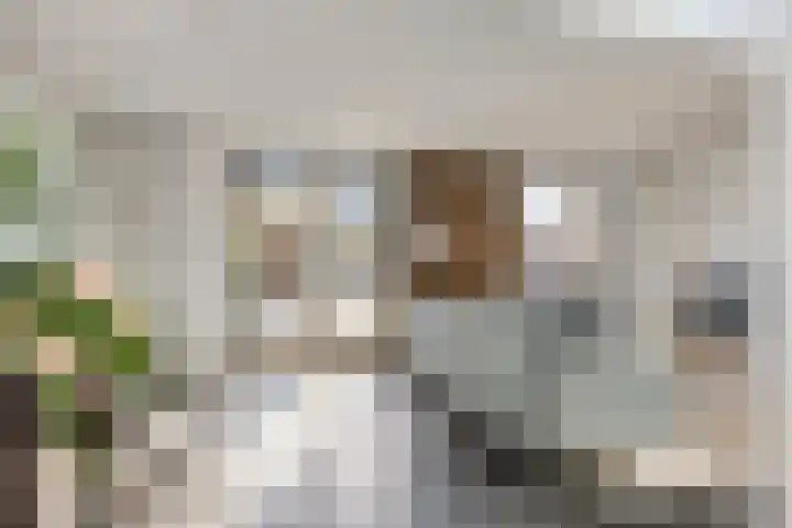 IJsvogel 65 Maarssen thumbnail 6
