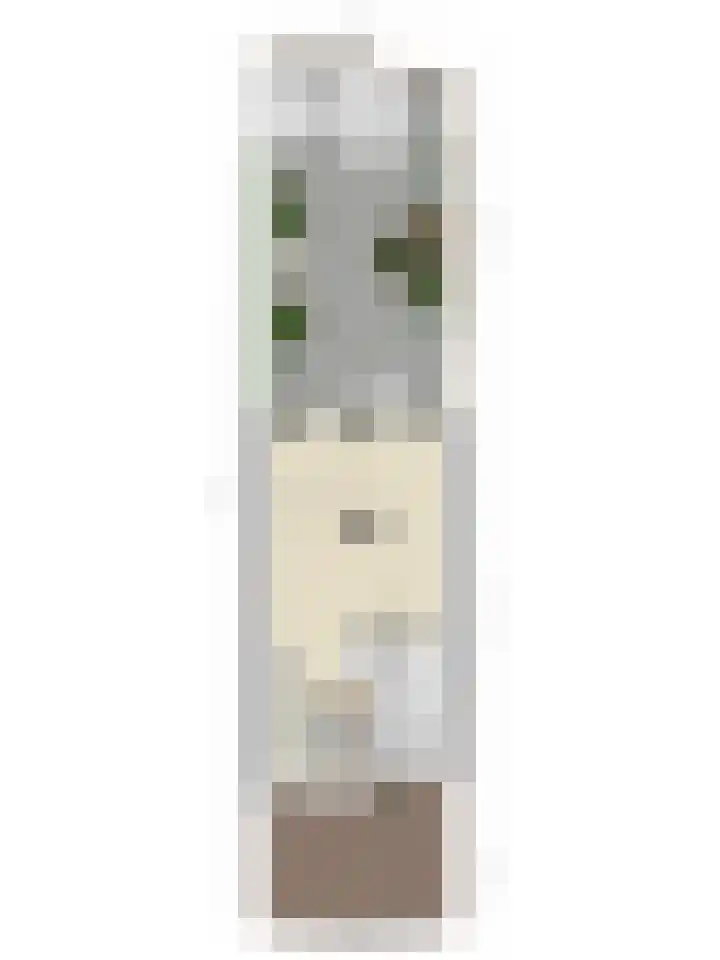 IJsvogel 65 Maarssen thumbnail 63