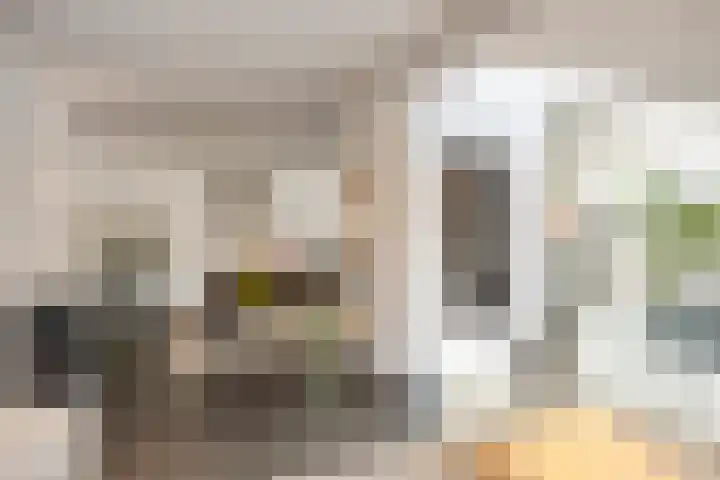 IJsvogel 65 Maarssen thumbnail 8