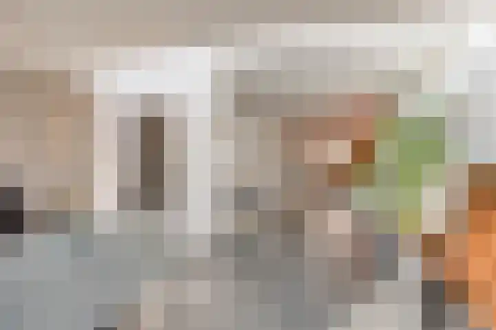 IJsvogel 65 Maarssen thumbnail 9
