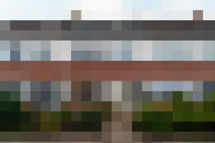 IJsvogel 80 in Dokkum