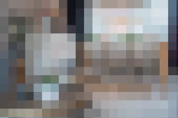 IJsvogel 80 Dokkum thumbnail 10